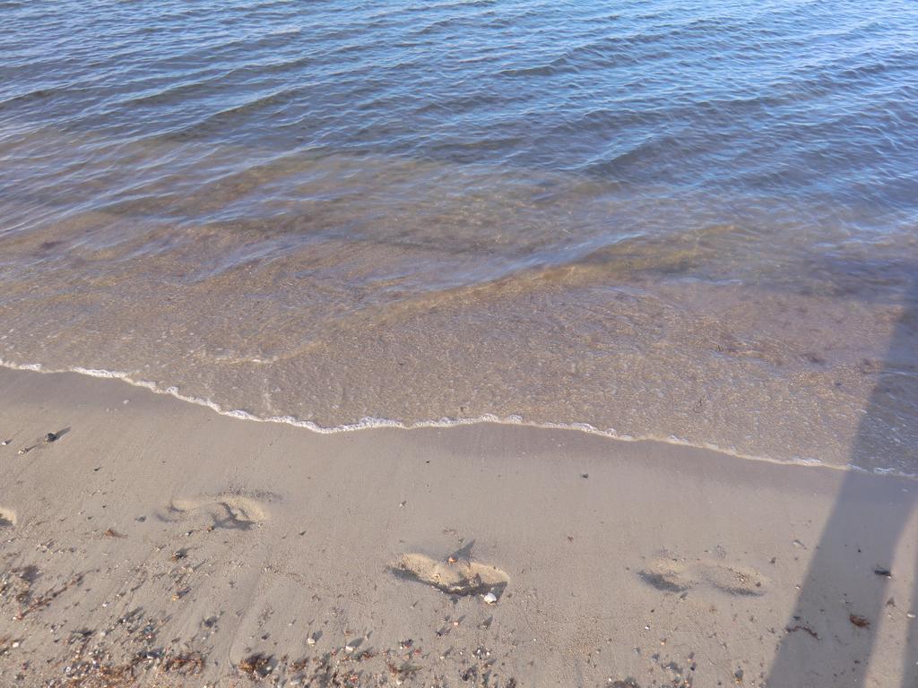 Boeltser Hus Ferienwohnungen Mit Strandkorb Und Kamin 10 Gehminuten Zum Kurtaxefreien Sandstrand Kraksdorf Εξωτερικό φωτογραφία